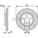 Bosch Fren Diski Ön [5D 300Mm] Cruze Astra J Zafıra 09 16Inc